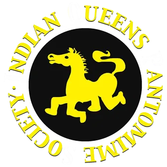 Indian Queens Panto Logo